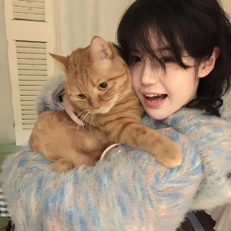 校园腥复仇